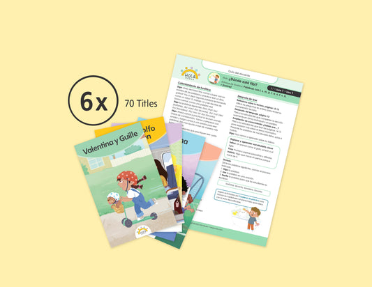 1st Grade Small Group Decodable Collection: Sets of 6