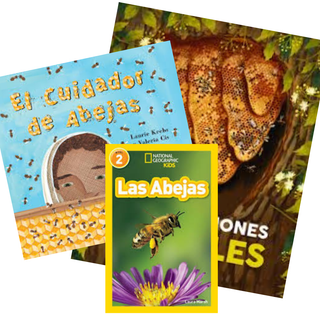 Colección de textos: Las abejas