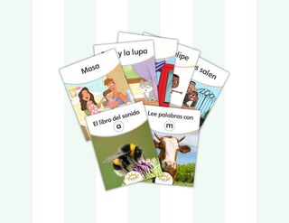 Colección de libros decodificables para pre-kínder (conjuntos de 6)