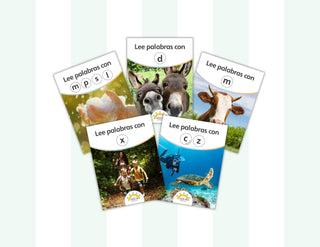 Colección de libros decodificables para pre-kínder (conjuntos de 6)